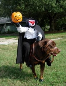 halloween-dog-costume