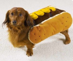 mustardhotdog