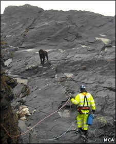 _45620028_dogrescue_mca_282