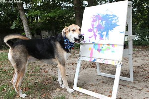 sampaintdog2BAR_450x300