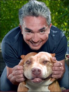 cesar-millan-dog-whisperer