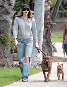 Jessica Biel walking dog