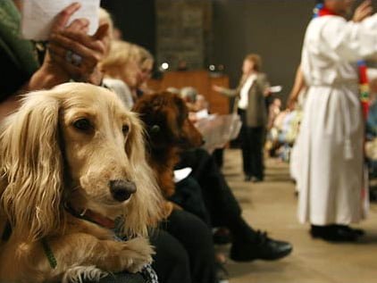 Dog takes communion in Toronto church