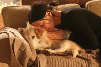 The responsibility of a dog owner to their dog’s health