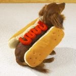 Hot dog Halloween costume