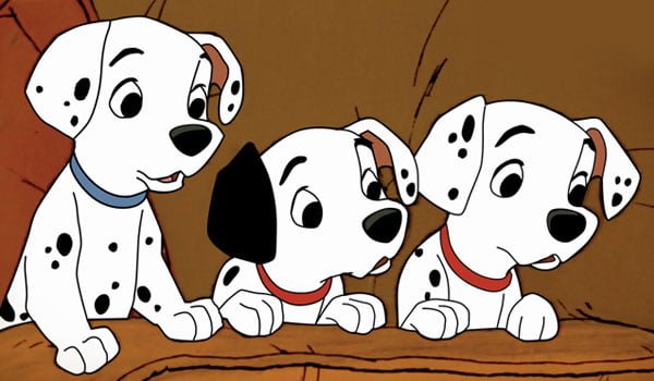 101 Dalmatians. Dalmatians were once used by breweries, a tradition kept up 