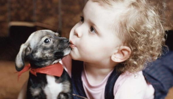 Is your child ready for the responsibilty of a dog?
