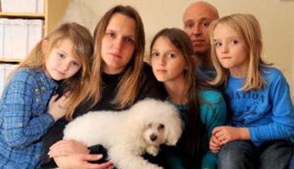 Bichon Frise & Shih Tzu returned to happy owners