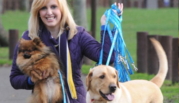 Wookie the Pomeranian tries out dog leads and attends dog competitions
