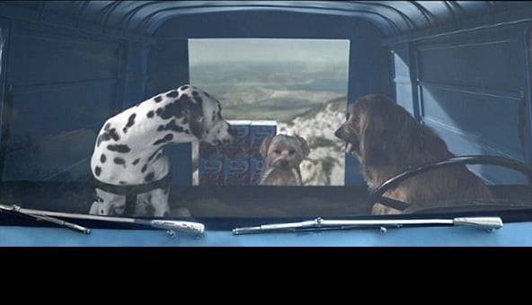 High frequency dog food commercial airs in the UK