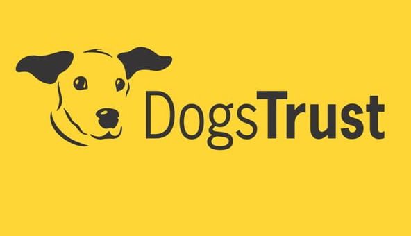 Corgi promptly rehomed prior to opening of Dogs Trust