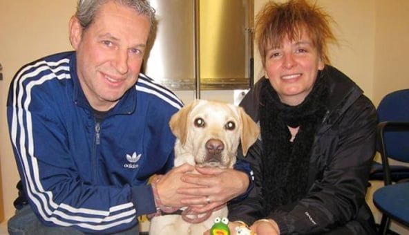 Golden Labrador undergoes operation to remove swallowed toys