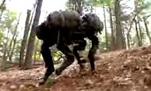 The BigDog Robotic Dog