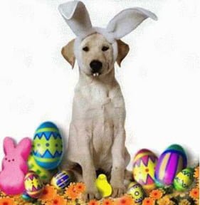 happy_easter_dogs