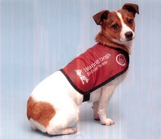 hearingdog