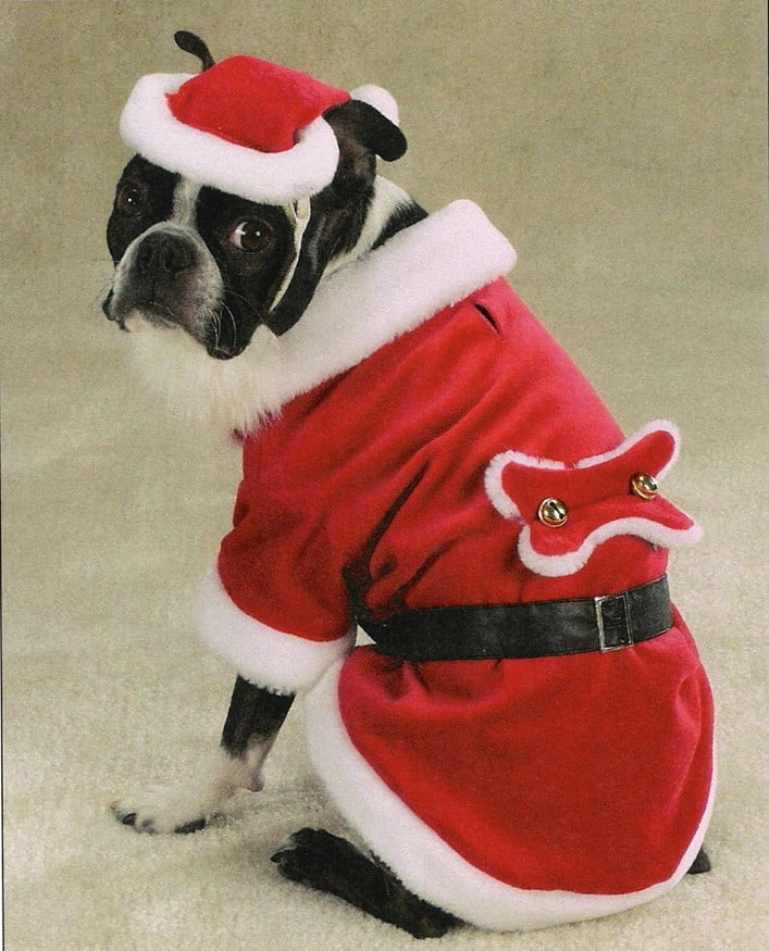 santa dog christmas outfit
