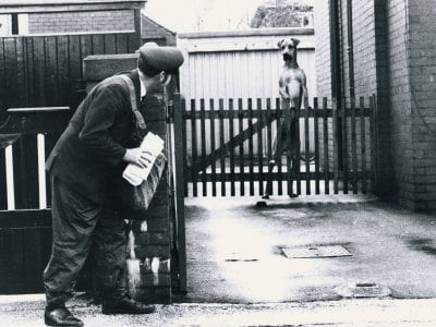 postman and dog postman and dog