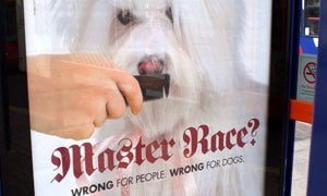 peta-poster-300-292423499