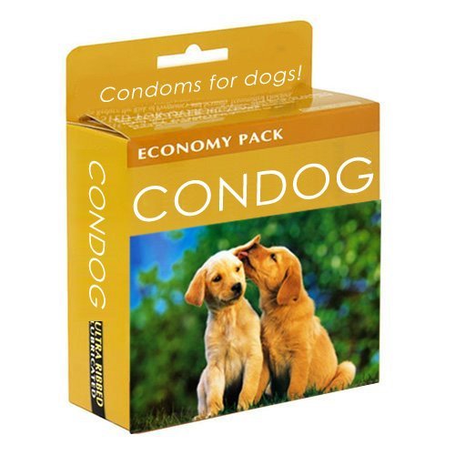 condog