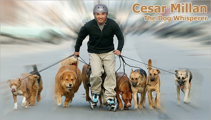 Cesar Millan-dog-whisper Cesar Millan-dog-whisper