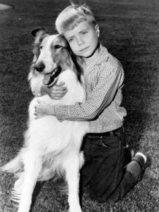 lassie-and-timmy