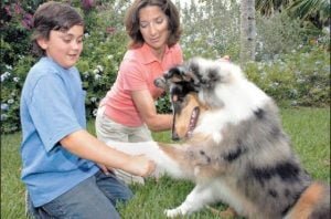 Losing a dog
