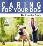 Caring for Dogs